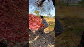 Apni Cricket Pitch Ke Liye Lohe Ke pipe Lekar Ayenge ❤️🙏minivlog shortsvlog dailyminivlog ￼ [upl. by Amadus351]