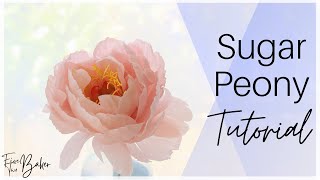 Sugar Peony Tutorial ⎸Realistic Gumpaste Peony for Cake Decorating [upl. by Coad]