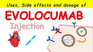 Evolocumab Repatha injection Uses Side effects and How to take [upl. by Nybbor]