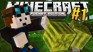 Minecraft Pocket Edition  MELON JUNGLE  1 [upl. by Arrak]