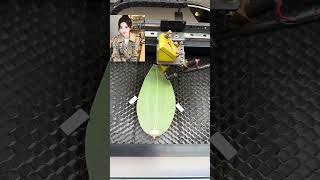 leaf painting production processleaf engraving machineleaf carving [upl. by Eiramait232]