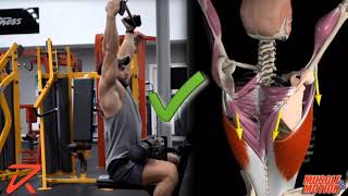 How to Do a Lat Pulldown  Common Mistake [upl. by Ikkiv699]