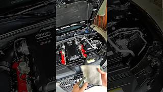 2013 Audi B85 RS5 V8 Weekly Engine Bay Detail audi rs5 audirs5 v8 [upl. by Brinson230]