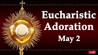 Powerful Eucharistic Adoration I Thursday May 2 2024 I 300 Pm [upl. by Hermie]