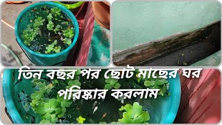 তিন বছর পর ছোট মাছের ঘর পরিষ্কার করলামAfter three years I cleaned the small fish house [upl. by Ylime]