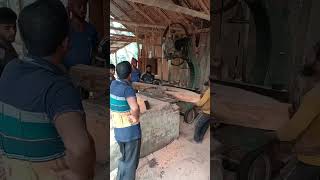 Big wood log cutting and sawmilling project  wood cutting factory part 16 [upl. by Aleusnoc]