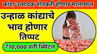 या वर्षी कांद्याचे भाव होणार तिप्पट  Kanda Bajar Bhav  Kanda Market Rate  Farmers [upl. by Fawnia962]