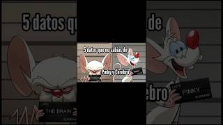 5 DATOS QUE NO SABIAS DE PINKY Y CEREBRO shorts viral top [upl. by Anivlis607]