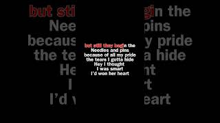 The Searchers Needles amp Pins  Karaoke Version with sing along Lyrics [upl. by Noyahs490]