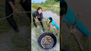 Survival Skills Build Simple and Useful Fish Tapping Systems survival useful shorts outdoors [upl. by Clynes]