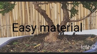 Great starter Bonsai material Hinoki Cypress [upl. by Bauske797]