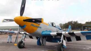 Jeff Michael p51 Mustang Obsession  Cecil Field AirShow 2009 [upl. by Netsew]