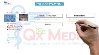 Ficha resumen Obstetricia ITU y Gestación ENAMENARMSERUMS [upl. by Inaffets]