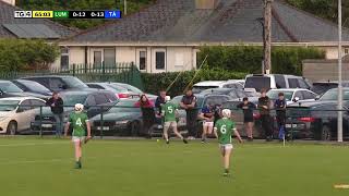 JOHN KIELYS DOG ON THE PITCH LOOKING TO TAKE A BITE OUT OF A FEW OF THE TIPP LADS GAMMON 4 GALBALLY [upl. by Brout]