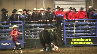 Kynan Vine in the Bull Riding at Canadas 2012 Ultimate Cowboy Challenge in Ponoka AB [upl. by Algy490]