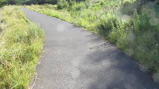 Ossett Greenway  Ossett  West Yorkshire Dewsbury  public footpaths WalkingHiking [upl. by Etteiluj]