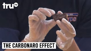 The Carbonaro Effect  Brownie Bit Falls Flat [upl. by Gerita]