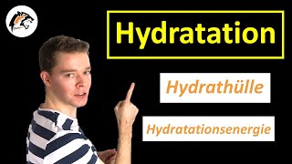 Hydratation amp Hydrathülle  Chemie Tutorial [upl. by Drapehs]