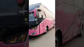 Bisa Goyang2 Gitu🤣Tampil Keren Bus Agung Sejati EX Stjbusshortsbismaniacomunity [upl. by Ymer]