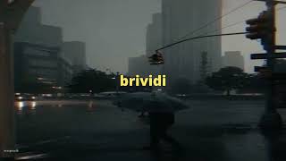 mahmood amp BLANCO  brividi 𝒔𝒍𝒐𝒘𝒆𝒅  𝒓𝒆𝒗𝒆𝒓𝒃 [upl. by Karp54]