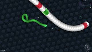 slitherio  gameplay  2098 points [upl. by Wymore77]