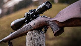 TOP 10 Best 22LR Rifles The Most Accurate 22 Rifles 2023 [upl. by Thorncombe647]