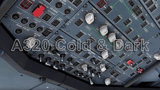 Airbus A320 Cold and Dark amp Startup  MSFS  Ultra Settings  4K [upl. by Jacobba]