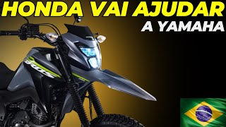 HONDA VAI AJUDAR A YAMAHA [upl. by Ahsinad]