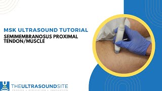 Ultrasound tutorial of the proximal Semimembranosus musculotendinous junctionaponeurosis [upl. by Ailed]