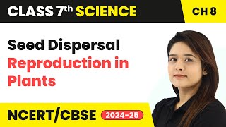 Seed Dispersal  Reproduction in Plants  Class 7 Science Chapter 8  CBSE 202425 [upl. by Keriann]