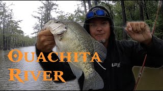 Ouachita River Crappie [upl. by Fritzie626]