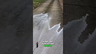 Transform Your Driveway Extreme Concrete Cleaning Guide [upl. by Nera]