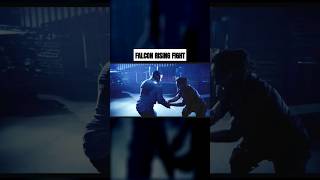 Falcon Rising awesome fight martialarts action [upl. by Ilera]