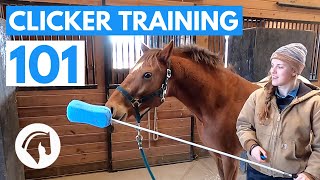 How to Clicker Train Your Horse [upl. by Aivatahs]