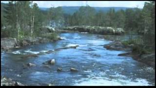 Jämtlandssången  Anthem of Jamtland  Mats Sannetorp w Fair play [upl. by Isidora474]