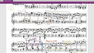 Musical Overview Beethoven Sonata No 5 in C minor Op 10 No 1 [upl. by Deeanne]