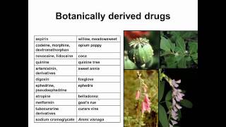 History of Botanical Medicine and Heathcare [upl. by Elime]