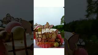 750g cake cake 1M 10M buttericing birthdaycake dilscake nawalapitiya happybirthday [upl. by Zanahs]