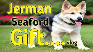 Jerman Seaford Puppy Gift Mila 🥳😳 vlog [upl. by Tedman]