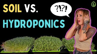 SOIL vs HYDROPONICS for Growing Broccoli Microgreens Indoors Who wins [upl. by Bunce]