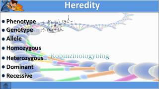 Heredity and Evolution Class 10  science biology [upl. by Alcock]