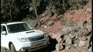 Subaru Forester off road bendleby ranges [upl. by Cindie]