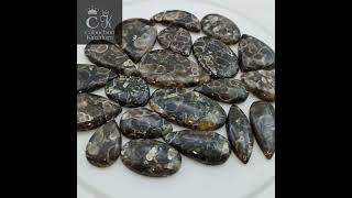 Turritella Agate Cabochon Gemstone [upl. by Erait]