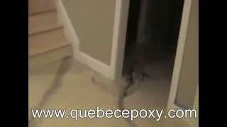 imitation marbre Quebec Epoxy [upl. by Cesaro]