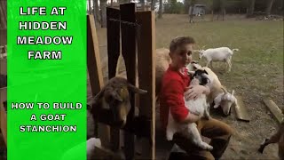 HOW TO BUILD A GOAT STANCHION  DIY HEADGATE FOR SMALL LIVESTOCK [upl. by Inotna]