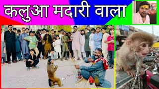 comedy video 😂😂 funny comedy monkeycomedy monkeyvideos monkey monkeybaby dute reaction [upl. by Aztilem]