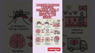 quotUnderstanding Cerebral Malaria How It Occurs and Impacts the Brainquot malaria brainhealth shorts [upl. by Ahsiuq500]