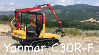 Yanmar C30RForestale [upl. by Nwahsar]