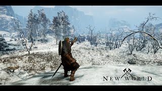 New World  SnsHa Assassin Light Build  Vikings91 [upl. by Lombardo490]