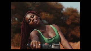 Oumou Sangaré  Wassulu Don Official Video [upl. by Annahsit837]